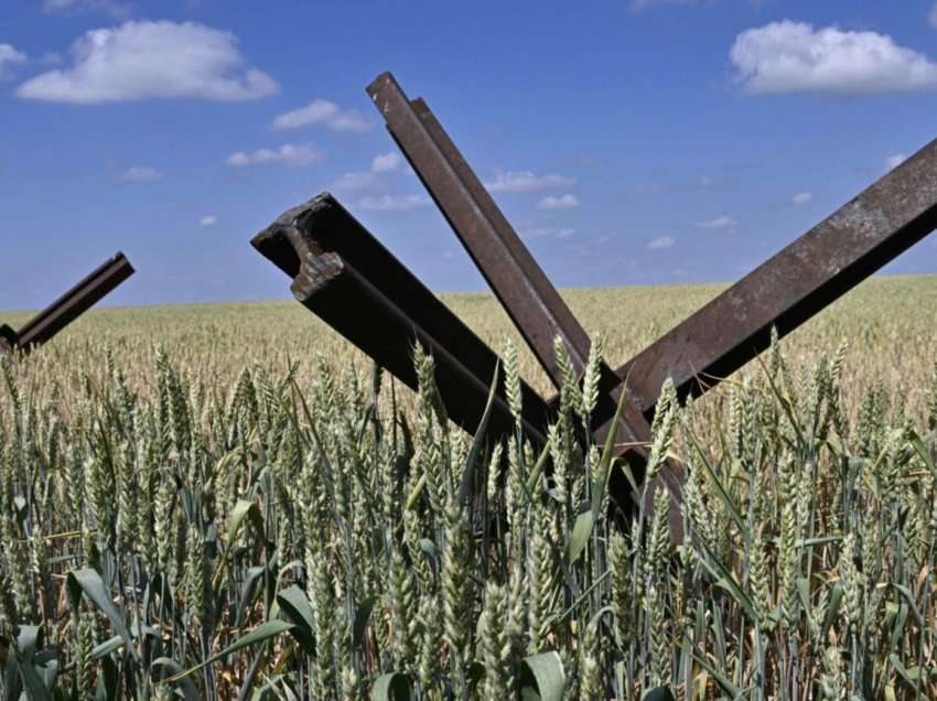 Ushqimi mund të jetë arma më e fundit në betejat e shekullit XXI-të