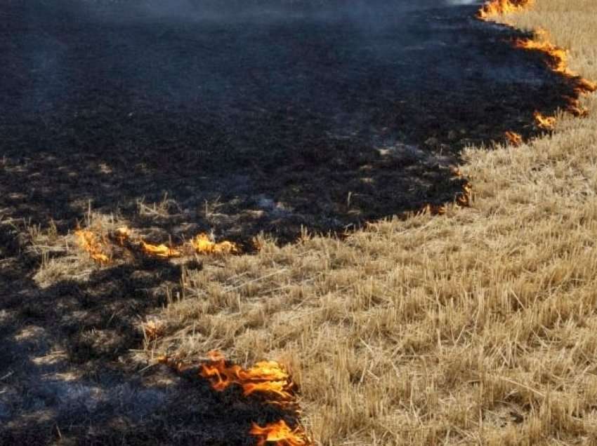 Ukrainë, përgatitje për të nisur eksportin e drithit