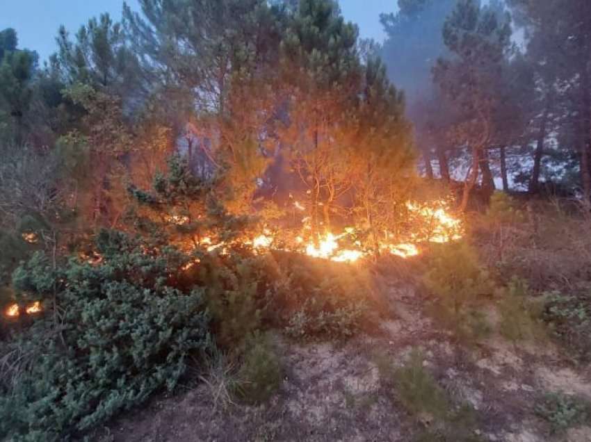 Situata me zjarret në vend, ja zonat ku vatrat janë ende aktive, ndërhyrje me helikopter në disa fshatra