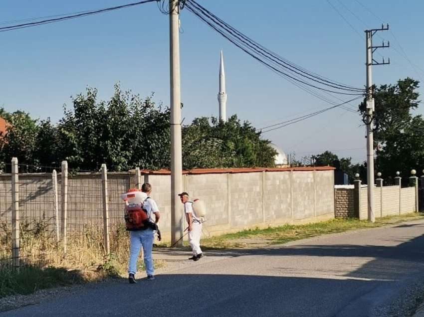 Vazhdon dezinsektimi kundër rriqrave në Malishevë