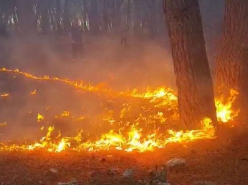 Situata e zjarreve në vend/ Ministria e Mbrojtjes publikon përditësimin e 24 orëve të fundit: Ku janë vatrat aktive!