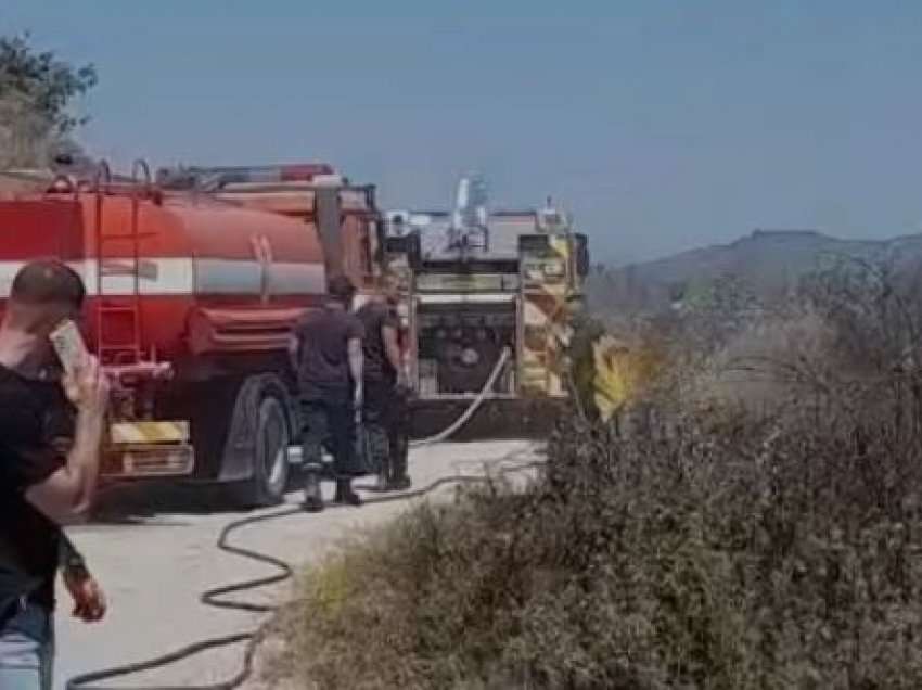 Dogjën mbeturinat, flakët dalin jashtë kontrollit dhe djegin të mbjellat, shoqërohen tre zjarrvënësit në Berat