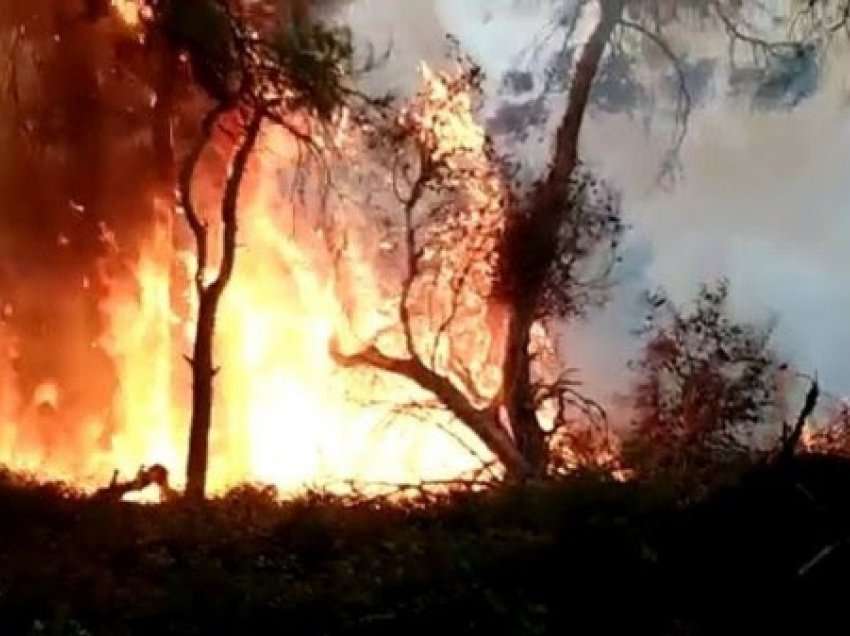 ​Zjarri në Sazan, kërkohet ndihmë nga ajri