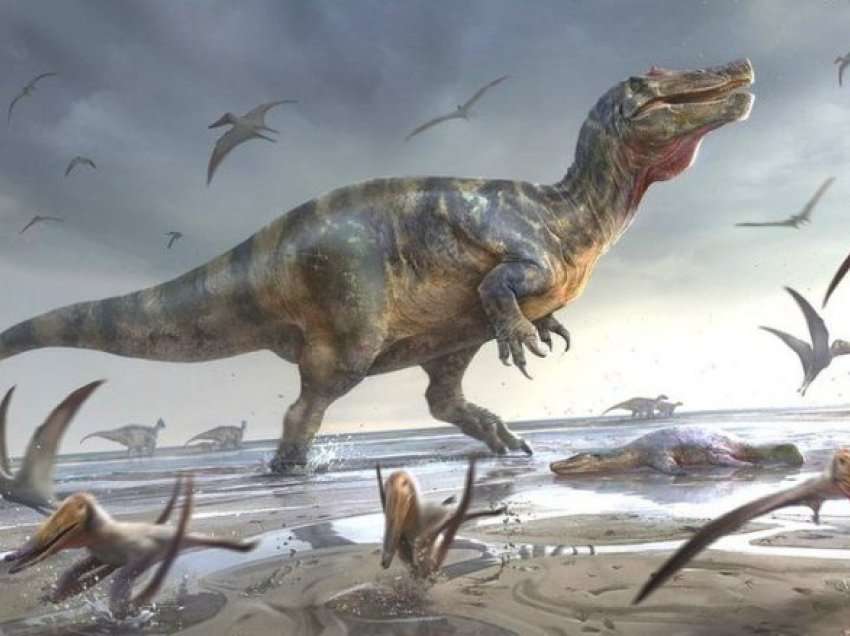 Dinozauri ‘më i madh’ në Evropë u gjet në Isle of Wight