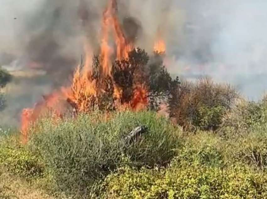 Flakët përfshijnë zonën pranë bregdetit në Lezhë, rrezikohen edhe bizneset! 