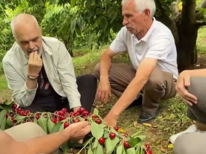 Rama ulet këmbëkryq e ha qershi me fermerët në Dibër