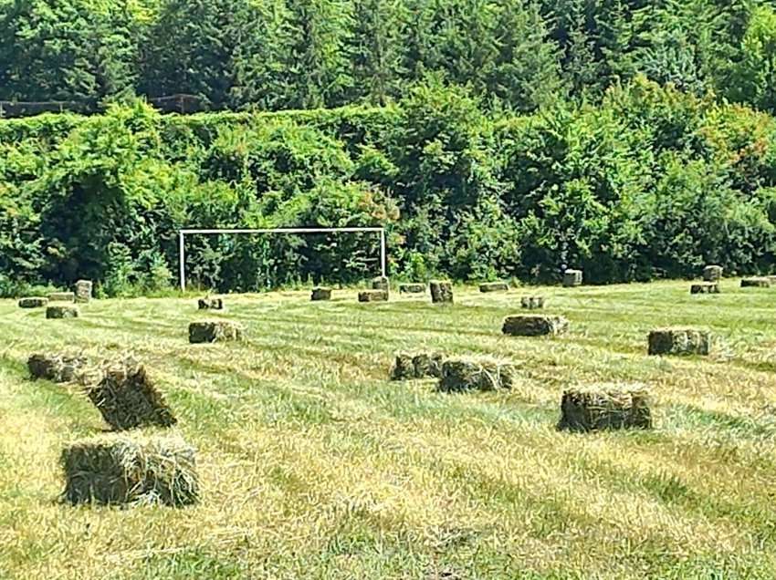 E trishtueshme se si duken pankinat në Çamërli të Prishtinës, fusha e rezistencës kundër regjimit serb!