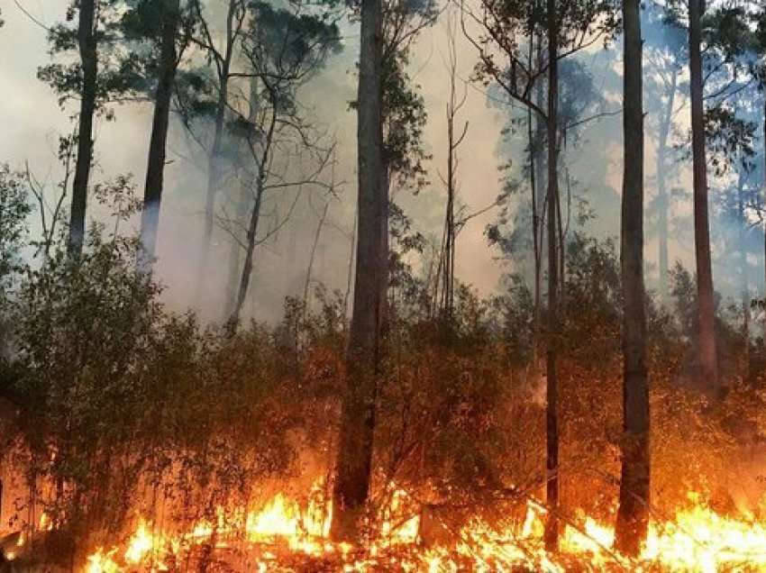 Rikuperimin i shtresës së ozonit, një tjetër problem. Çfarë po ndikon?