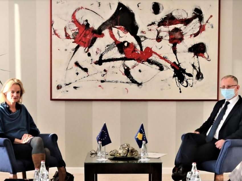 Bislimi priti në takim Raportuesen për Kosovën në Parlamentin Evropian, Viola von Cramon