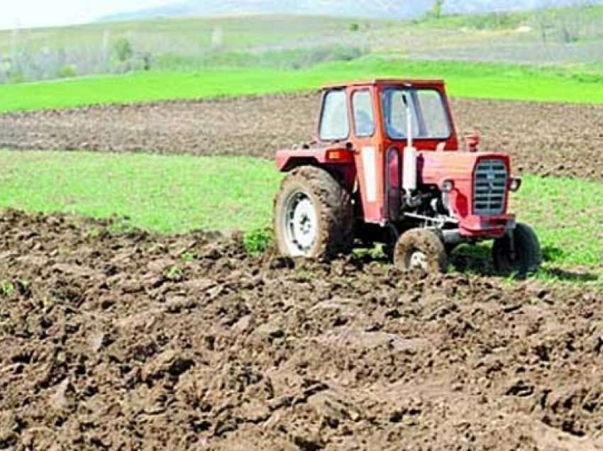 Fermerët kërkojnë shteti t’i ndihmojë ta zgjerojnë prodhimin e grurit