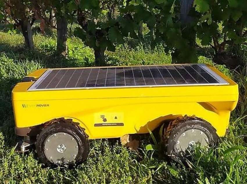 Flota e kositëseve robotike solare që përdoren në vreshtat franceze