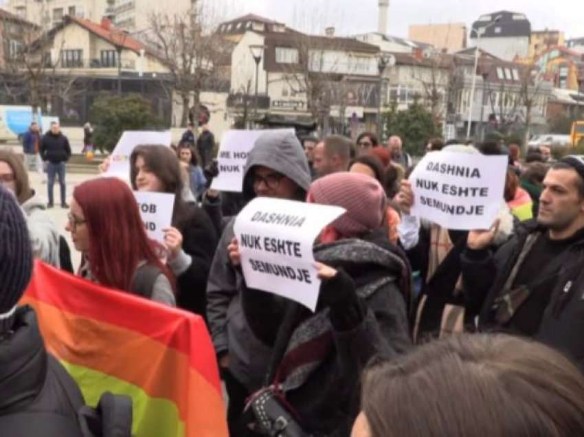 Organizata mbron homoseksualët akuzon deputetët për nxitje të urrejtjes