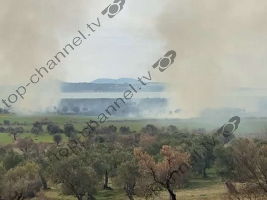 Marrin flakë kodrat në Vlorë, zjarri djeg ullishtet