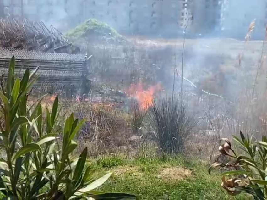 Po digjnin barishtet, zjarri del jashtë jashtë kontrollit në Shëngjin