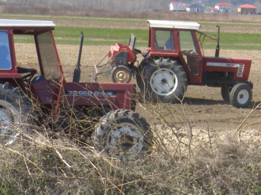 Fermerët shqiptarë dhe çmimet e larta në sezonin e mbjelljeve