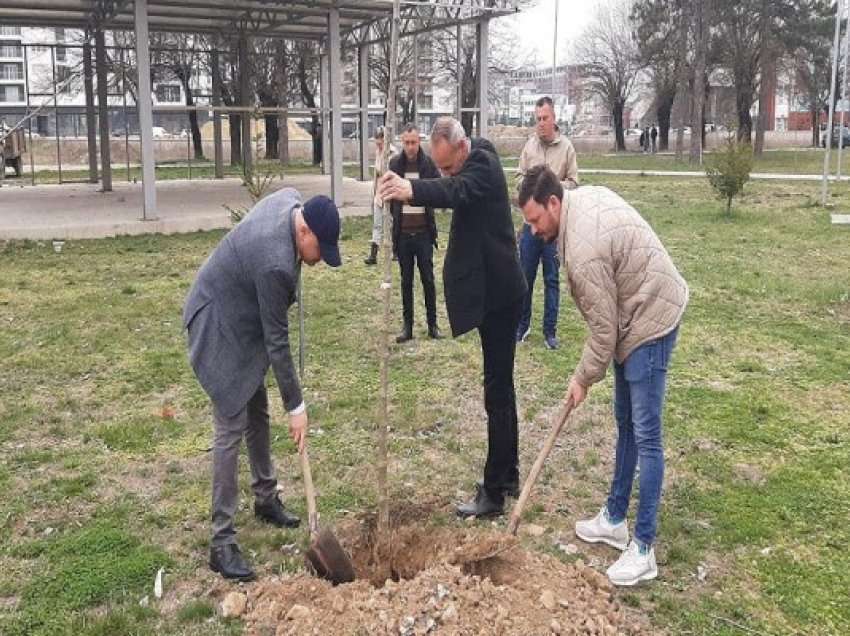 ​Parku i madh i Gjakovës vazhdon të plotësohet çdo ditë e më tepër