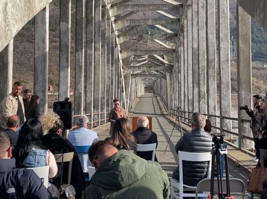 “Protestë” me poezi! Gjendja e mjerueshme e Urës së Zogut bën bashkë aktivistët dhe artistët