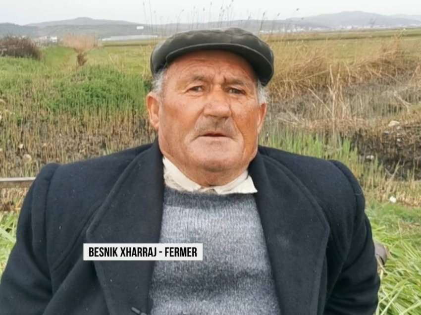 Bujqësia plehëron më pak/ Fermerët: çmimet janë shumë të larta