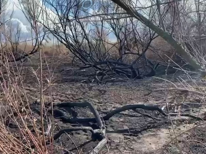 Gruaja gjen kocka njeriu pranë banesës së saj në Vlorë