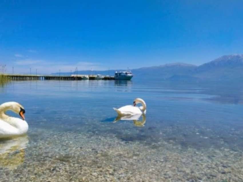 ​Pogradeci projekte binjakëzimi me Gjermaninë në fushën e turizmit