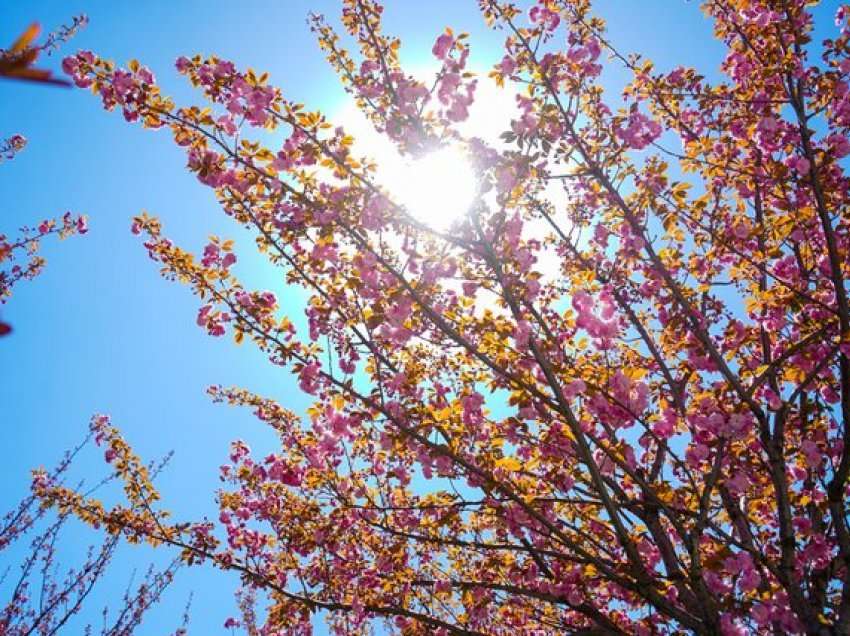 Vranësira dhe rritje temperaturash, si parashikohet moti për sot