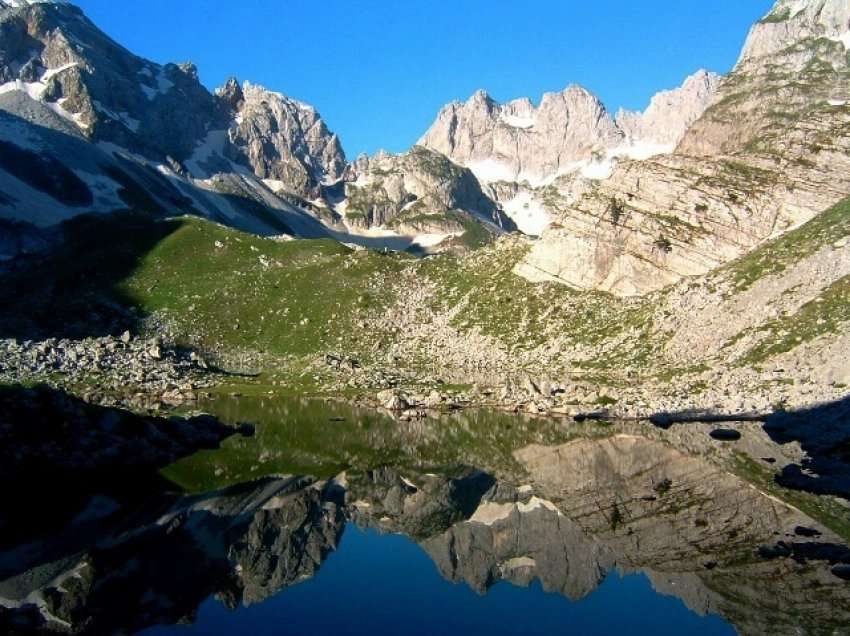 Dita Botërore e Biodiversitetit: Një arsye për të festuar mrekullitë tona natyrore