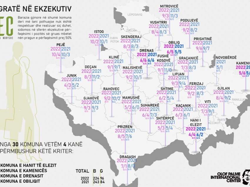 Mosrespektimi i barazisë gjinore në Ekzekutiv mbetet sfidë për shumicën e komunave