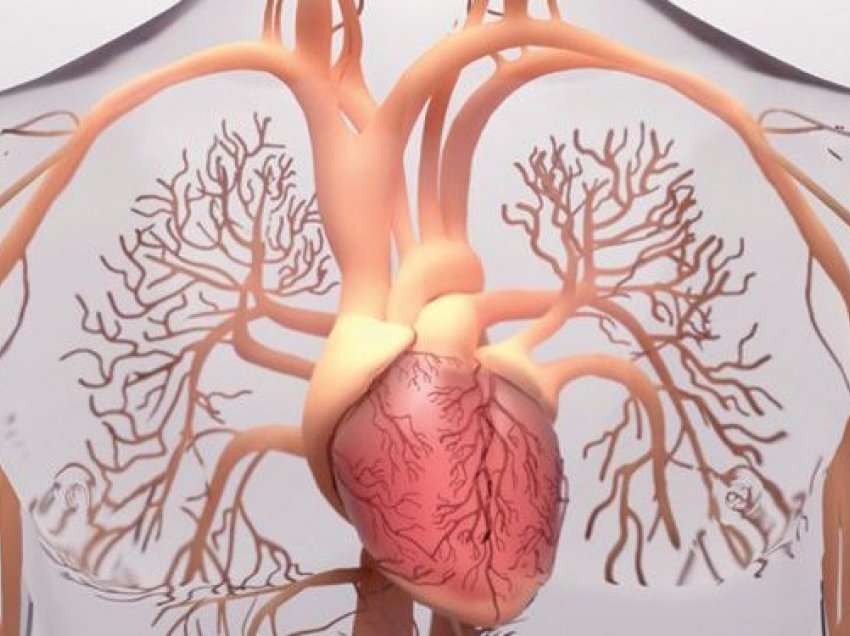 Pesë vlerat e kastravecit kundër tensionit të lartë