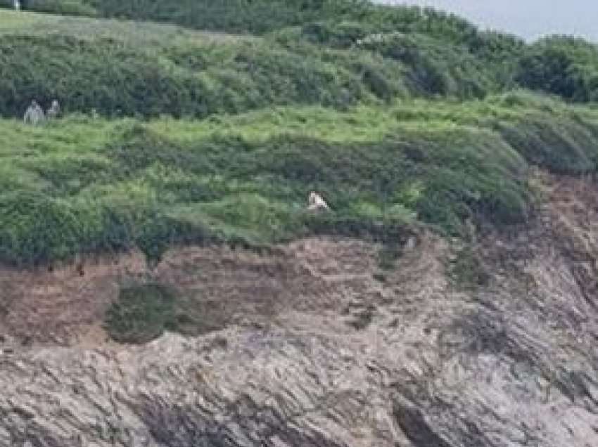 Çifti lë nam/ Bëjnë marrëdhënie në mes të drekës në natyrë, shokohen klientët e restorantit përballë