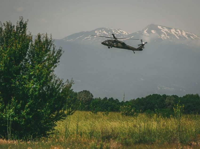 Polici ra në humnerë gjatë operacionit anti-drogë në Dukagjin/ Ambasada e SHBA: I plagosur edhe një tjetër efektiv! Reagon Niko Peleshi