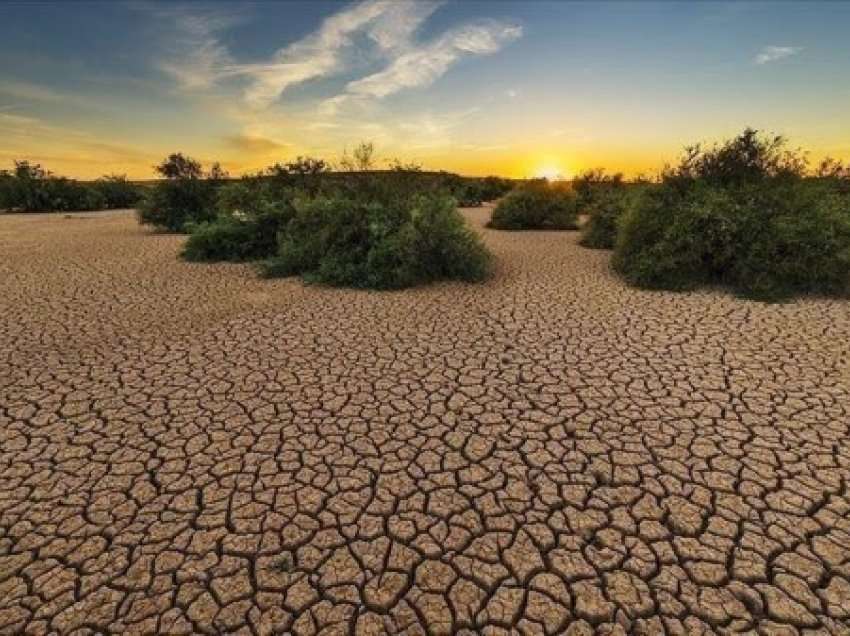 Deri në 2050 nuk do mbetet gjurmë prej shumicës së akullnajave në botë