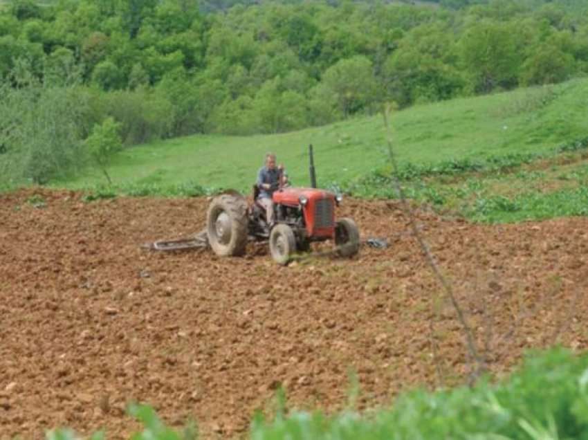 Qendra të reja grumbulluese, shpresë për plasmanin e bujqve