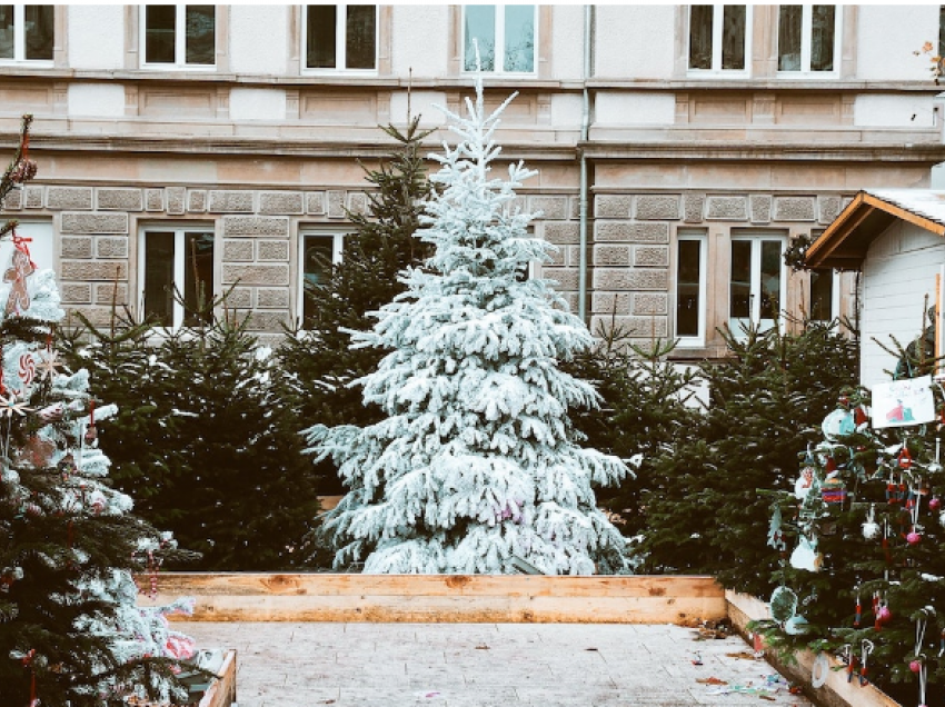 Pa asnjë detaj të kuq, 3 pemët e Krishtlindjeve që duken të shtrenjta dhe elegante