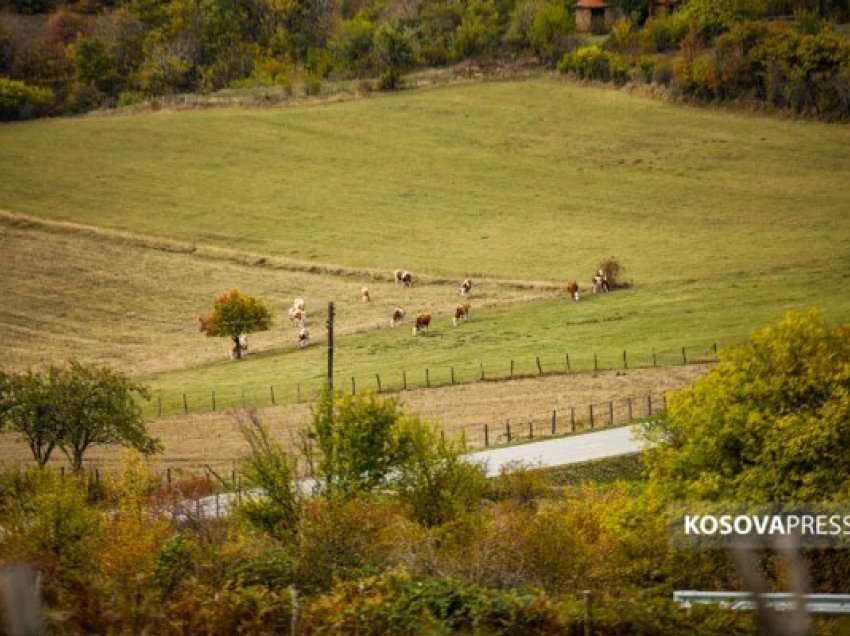 Parashikimi i motit për sot në Kosovë