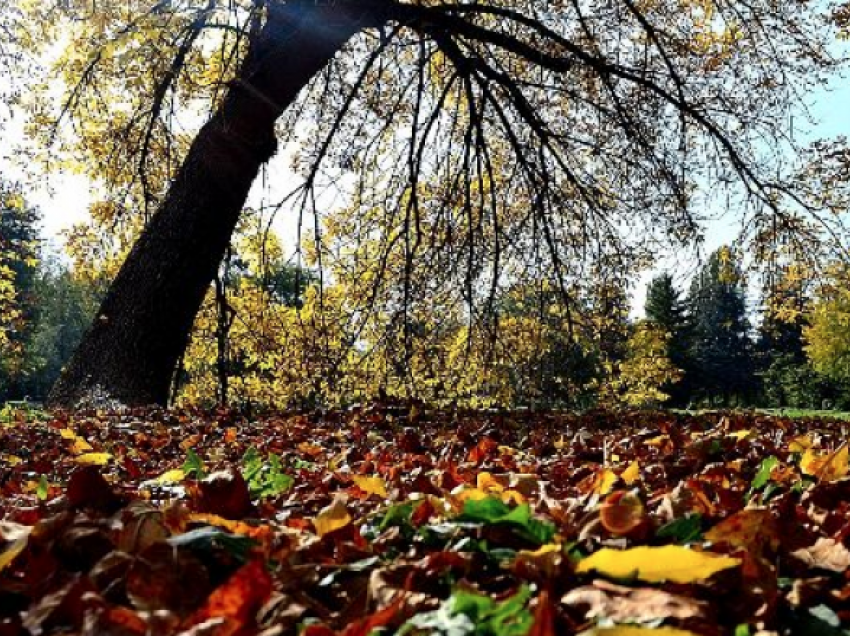 Moti sot në Maqedoninë e Veriut