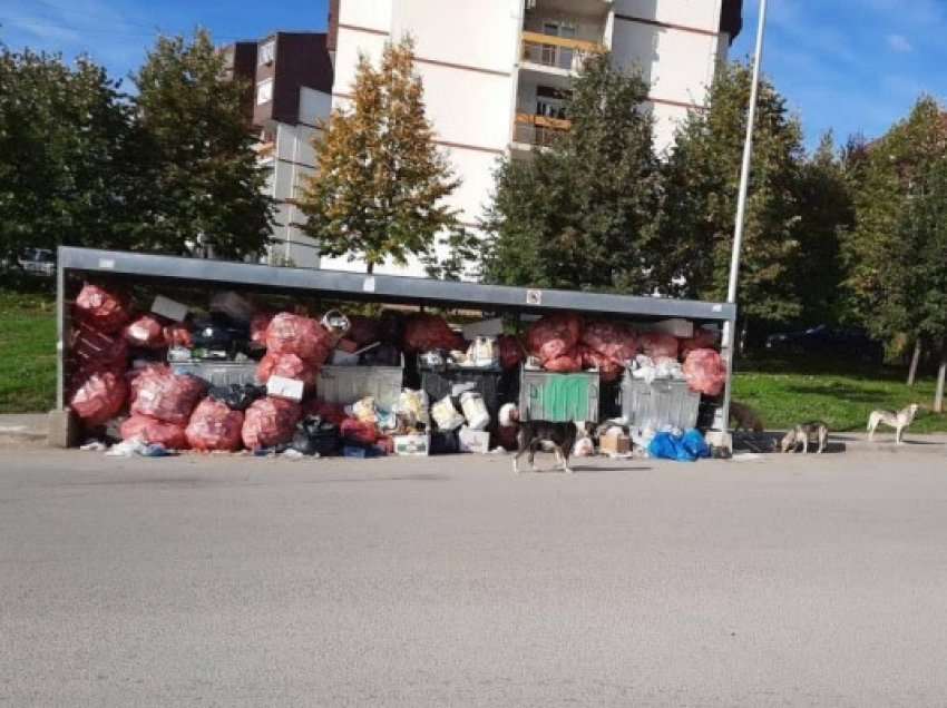 ​Pakujdesia dhe mungesa e kontejnerëve, mbeturinat kaplojnë Prishtinën