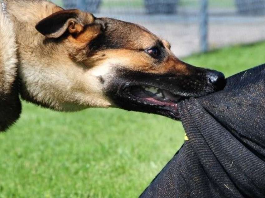 Si është gjendja shëndetësore e 4-vjeçarit që u kafshua nga qeni, flet babai i tij