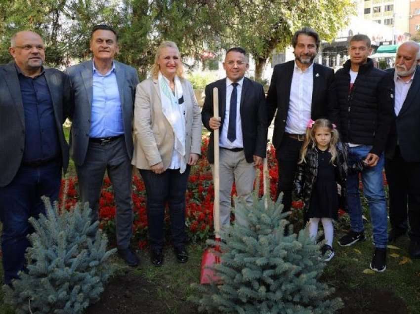 ​Prishtina me fidanë të rinj në kujtim të Shën Nënë Terezës