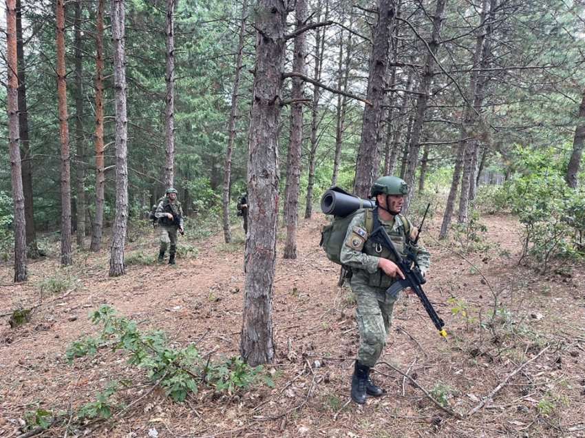 Armend Mehaj: Ushtria e Kosovës e gatshme për çdo mision ushtarak