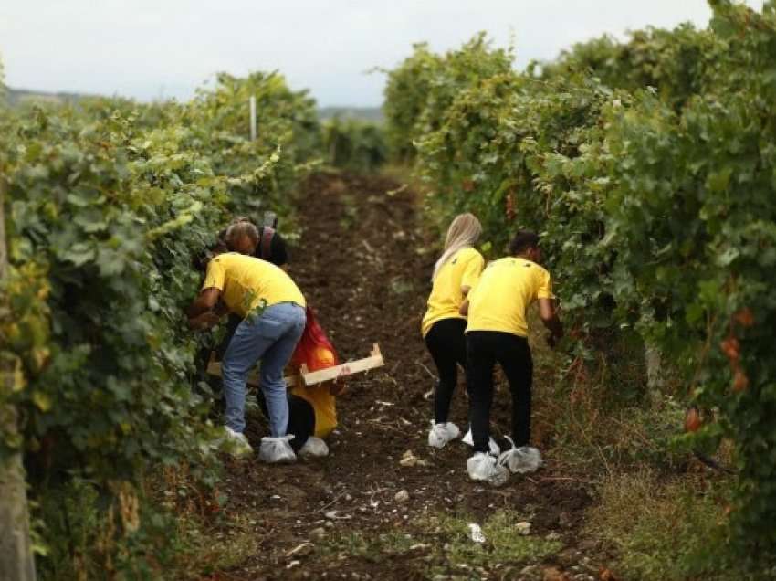 ​Vazhdon festa në ditën e dytë të “Hardh Fest”