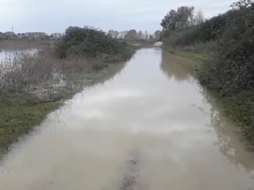 Situata e reshjeve/ Mbeten të bllokuara 7 familje në Tropojë, ka dëme edhe në bagëti. Disa ura e rrugë janë dëmtuar