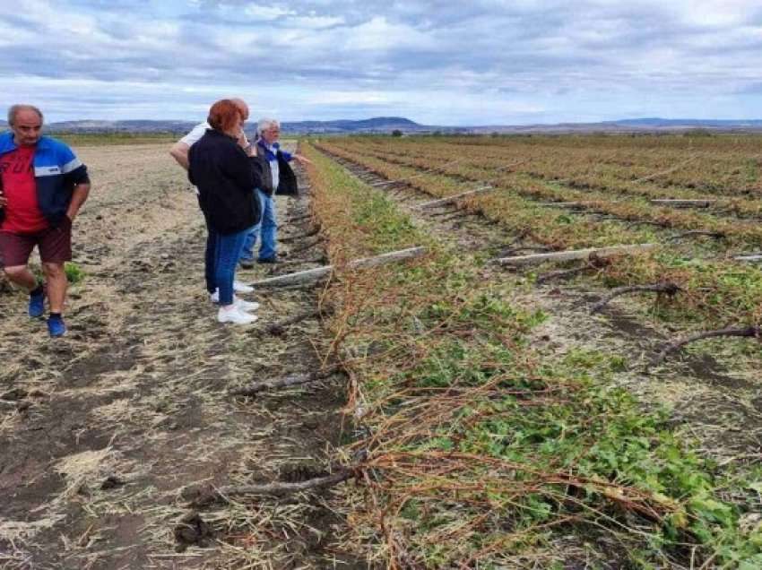 ​Bullgari: Gjendje e pjesshme e jashtëzakonshme shpallet në Pomorie