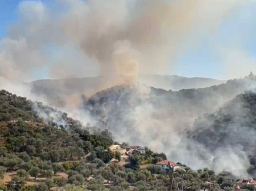 Zjarr me përmasa të mëdha në ullishtet në fshatin Kaninë të Vlorës, rrezikohen banesat në afërsi të zonës