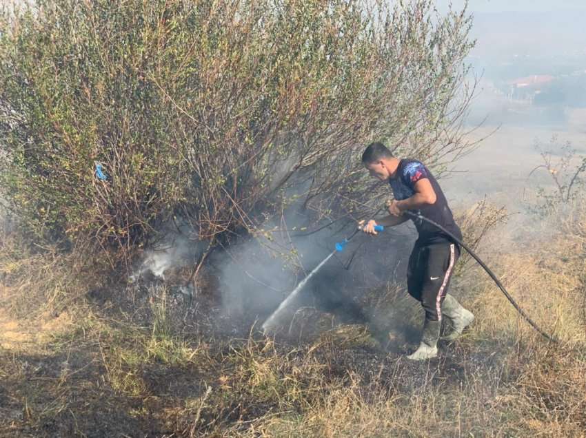 Zjarr i qëllimshëm në Devoll, digjen 5 hektarë pemëtore