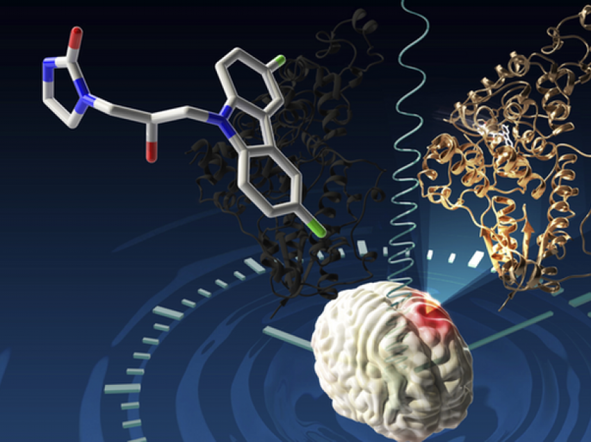 Lajmi i mrekullueshëm, zbulimi që jep shpresë! Studiuesit gjejnë ilaçin që mund të kurojë tumorin e trurit