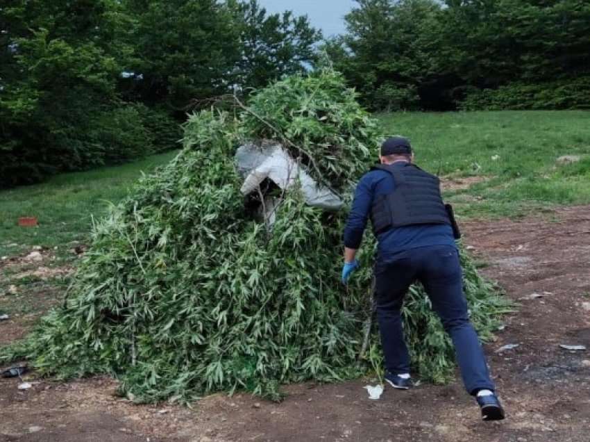 Përfundon aksioni i madh në zonën e Dukagjinit, disa të arrestuar - prokurori tregon çka u sekuestrua