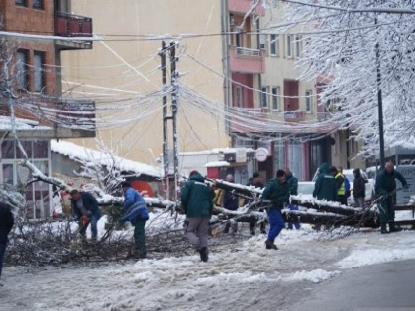 Rrëzohen lisa në disa lokacione në kryeqytet, Rama: Qytetarët të mos frekuentojnë parqet