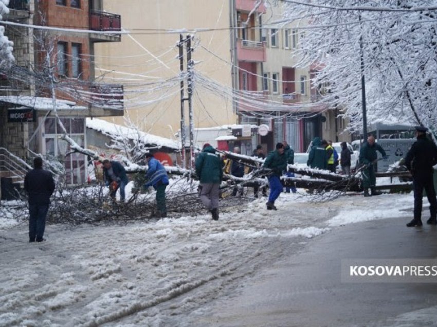 ​Lisi bie në rrugë, bllokon qarkullimin afër parkut në kryeqytet