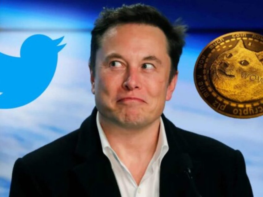 Pasi Twitter ndryshoi logon nga një zog në një qen, rritet çmimi i Dogecoin