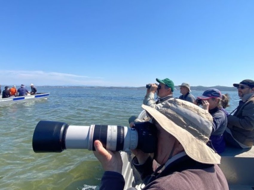 ​Turistët anglezë vizitojnë Divjakën